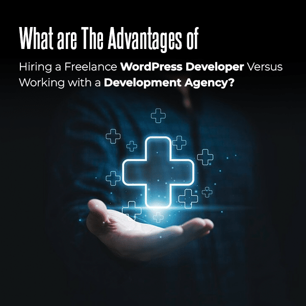 What are the Advantages of Hiring a Freelance WordPress Developer Versus Working with a Development Agency